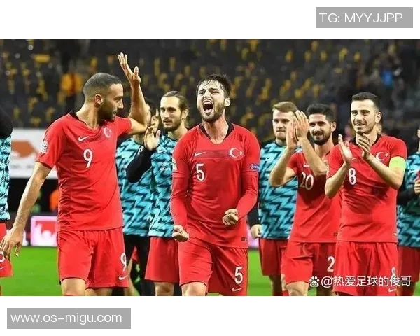 2017年冰岛与土耳其足球比赛首发阵容分析与对比