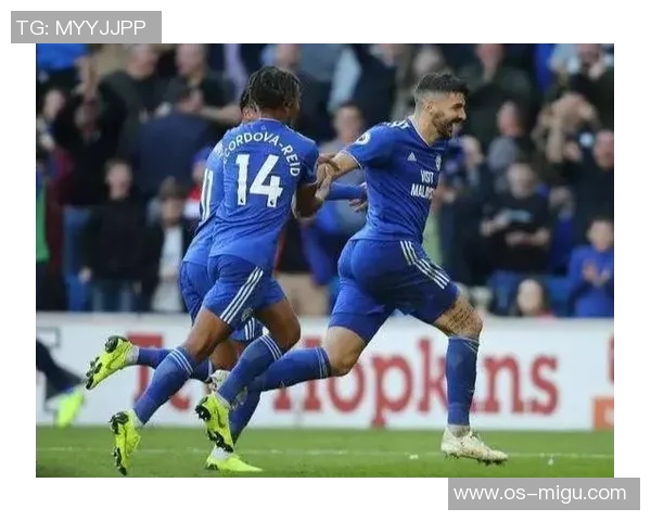 加的夫城与富勒姆的精彩对决揭示英冠联赛的激烈竞争与球队实力较量