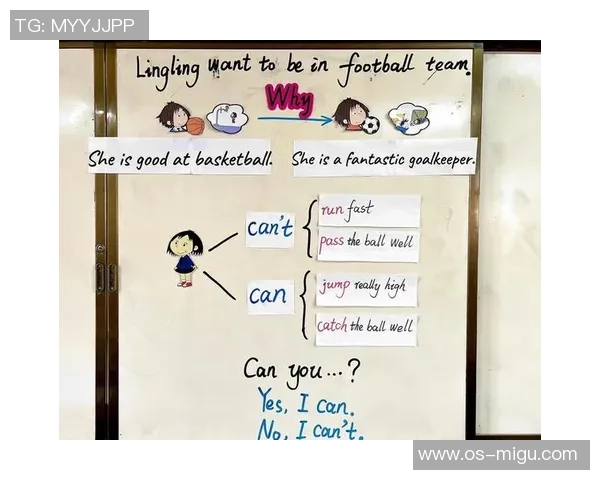 博格丹博格达诺维奇的篮球之路与未来展望解析