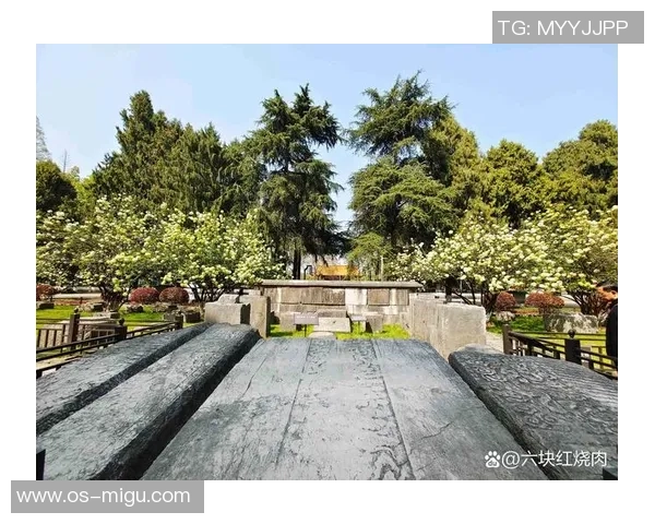 斯通斯的传奇之旅：探索音乐与文化交融的辉煌历史